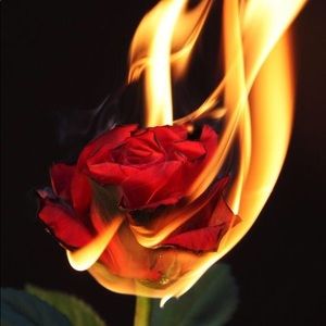 Meet your Posher, Heidi